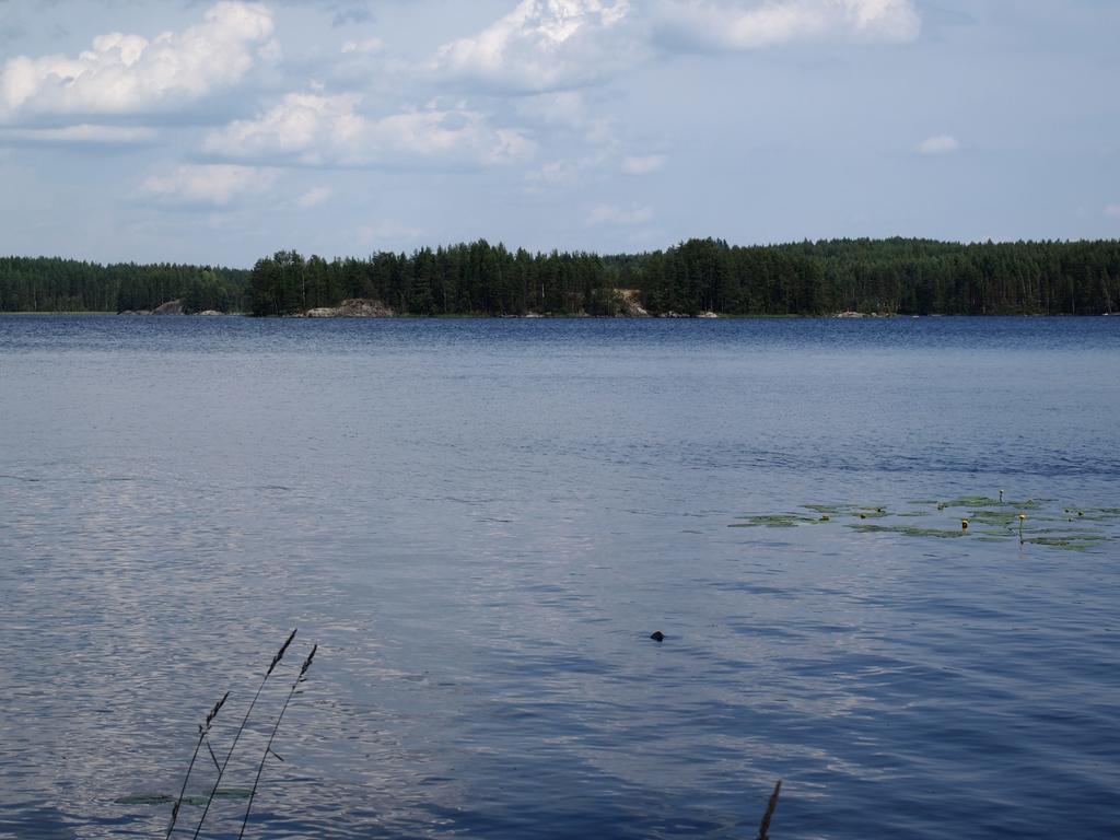 Kuoreksenniemi Villas & Lakehouse ปูมาลา ภายนอก รูปภาพ
